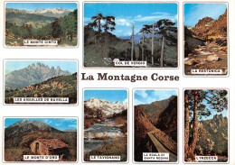 2B-CORSE  LA MONTAGNE-N°T2665-C/0019 - Other & Unclassified