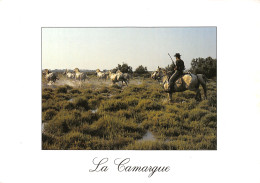 30-LA CAMARGUE-N°T2665-B/0273 - Other & Unclassified