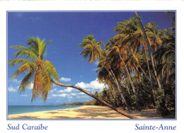 972-MARTINIQUE SAINTE ANNE-N°T2665-B/0267 - Other & Unclassified