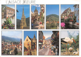 68-ALSACE-N°T2665-B/0247 - Other & Unclassified