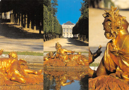 78-VERSAILLES LE CHATEAU-N°T2665-D/0347 - Versailles (Château)