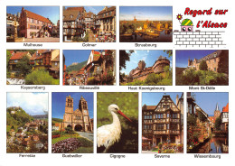 68-ALSACE-N°T2666-D/0337 - Other & Unclassified