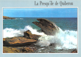 56-QUIBERON-N°T2666-D/0241 - Quiberon