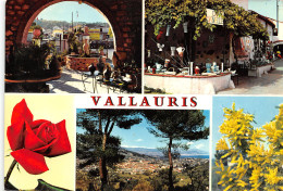 06-VALLAURIS-N°T2666-C/0385 - Vallauris