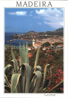 72529387 Funchal Panorama Kuestenstadt Kaktus  - Other & Unclassified