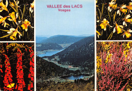 88-VALLEE DES LACS-N°T2667-C/0201 - Other & Unclassified
