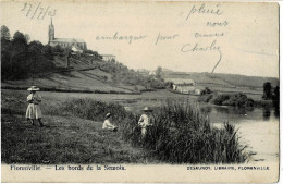 Florenville Les Bords De La Semois Circulée En 1903 - Florenville