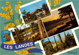 40-LES LANDES-N°T2667-A/0041 - Other & Unclassified