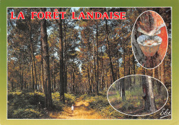 40-LES LANDES FORET-N°T2667-A/0011 - Other & Unclassified