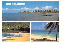 971-GUADELOUPE-N°T2668-B/0025 - Other & Unclassified
