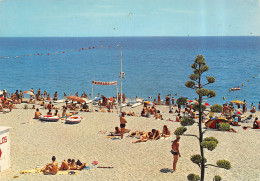 66-CANET PLAGE-N°T2668-A/0309 - Canet Plage
