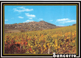 18-SANCERRE-N°T2667-D/0093 - Sancerre