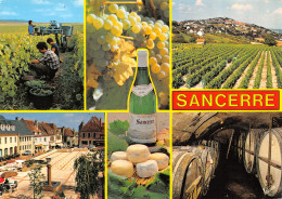 18-SANCERRE-N°T2667-D/0069 - Sancerre