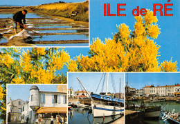 17-ILE DE RE-N°T2668-C/0239 - Ile De Ré