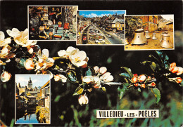 50-VILLEDIEU LES POELES-N°T2669-C/0061 - Villedieu
