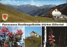 72528265 Hippach Rastkogelhuette Zillertal Alpenflora Alpenpanorama Hippach - Autres & Non Classés