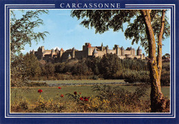11-CARCASSONNE-N°T2669-B/0365 - Carcassonne