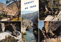 48-GORGES DU TARN-N°T2669-B/0313 - Gorges Du Tarn