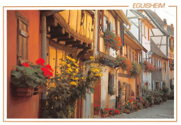 68-EGUISHEIM-N°T2669-B/0229 - Other & Unclassified