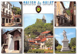 31-SALIES DU SALAT-N°T2669-A/0221 - Salies-du-Salat