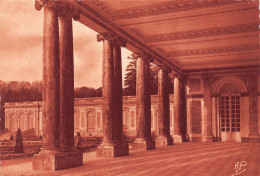 78-VERSAILLES GRAND TRIANON-N°T2670-A/0117 - Versailles (Castello)