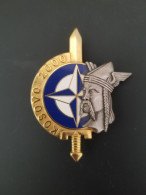 Insigne Métallique KOSOVO / Année 2000 - Armée De Terre