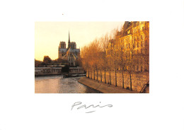 75-PARIS NOTRE DAME-N°T2669-C/0217 - Notre-Dame De Paris