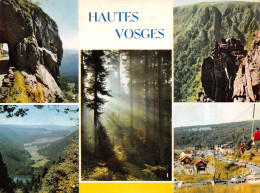 88-LES VOSGES-N°T2670-A/0391 - Other & Unclassified