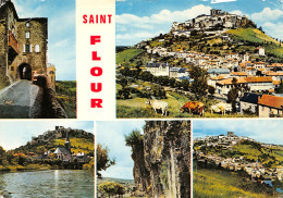 15-SAINT FLOUR-N°T2671-B/0243 - Saint Flour