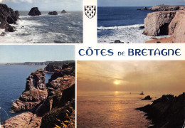 29-COTES DE BRETAGNE-N°T2671-A/0237 - Other & Unclassified