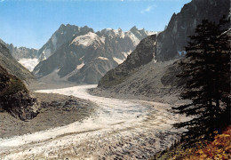 74-CHAMONIX MONT BLANC-N°T2671-A/0111 - Chamonix-Mont-Blanc