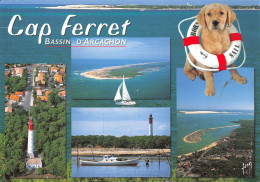 33-CAP FERRET-N°T2672-A/0145 - Other & Unclassified
