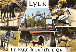 69-LYON-N°T2671-C/0391 - Other & Unclassified