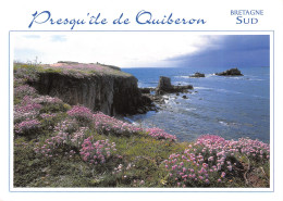 56-QUIBERON-N°T2671-C/0371 - Quiberon