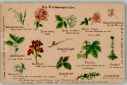 13007611 - Blumensprache Ca 1905 AK - Blumen