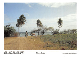 971-GUADELOUPE-N°T2672-B/0375 - Other & Unclassified