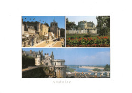 37-AMBOISE-N°T2672-B/0195 - Amboise