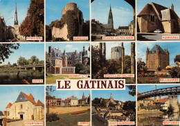 45-LE GATINAIS-N°T2672-A/0271 - Autres & Non Classés