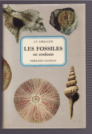 LES FOSSILES De J.F. KIRKALDY 1975 En Couleurs éditions Fernand Nathan - Sciences