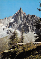 74-CHAMONIX MONT BLANC-N°T2673-D/0157 - Chamonix-Mont-Blanc