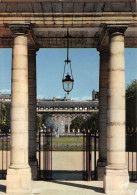 75-PARIS LE JARDIN DU PALAIS ROYAL-N°T2674-B/0265 - Autres & Non Classés