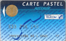 CARTE²° PUCE-BULL F-FRANCE TELECOM-PASTEL-NATIONALE- V°LE 10 / En Bas France Telecom Segur-75700-Paris-TBE - Pastel