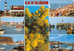 17-ILE D OLERON -N°T2678-A/0119 - Ile D'Oléron