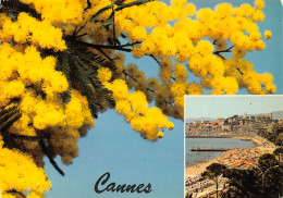 06-CANNES-N°T2678-D/0381 - Cannes