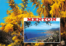 06-MENTON-N°T2678-D/0193 - Menton