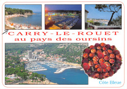 13-CARRY LE ROUET-N°T2678-C/0293 - Carry-le-Rouet