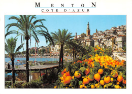 06-MENTON-N°T2679-C/0363 - Menton