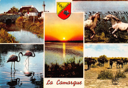 13-CAMARGUE-N°T2679-B/0095 - Other & Unclassified