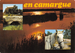 13-CAMARGUE-N°T2679-A/0341 - Andere & Zonder Classificatie
