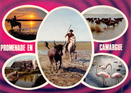 13-CAMARGUE FOLKLORE GARDIANS-N°T2679-A/0327 - Other & Unclassified
